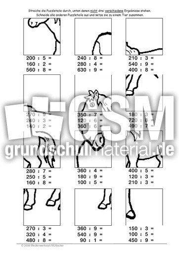 Pferd2.pdf